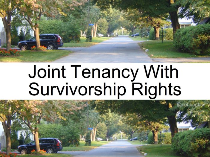 Tenants common joint vs mean does will